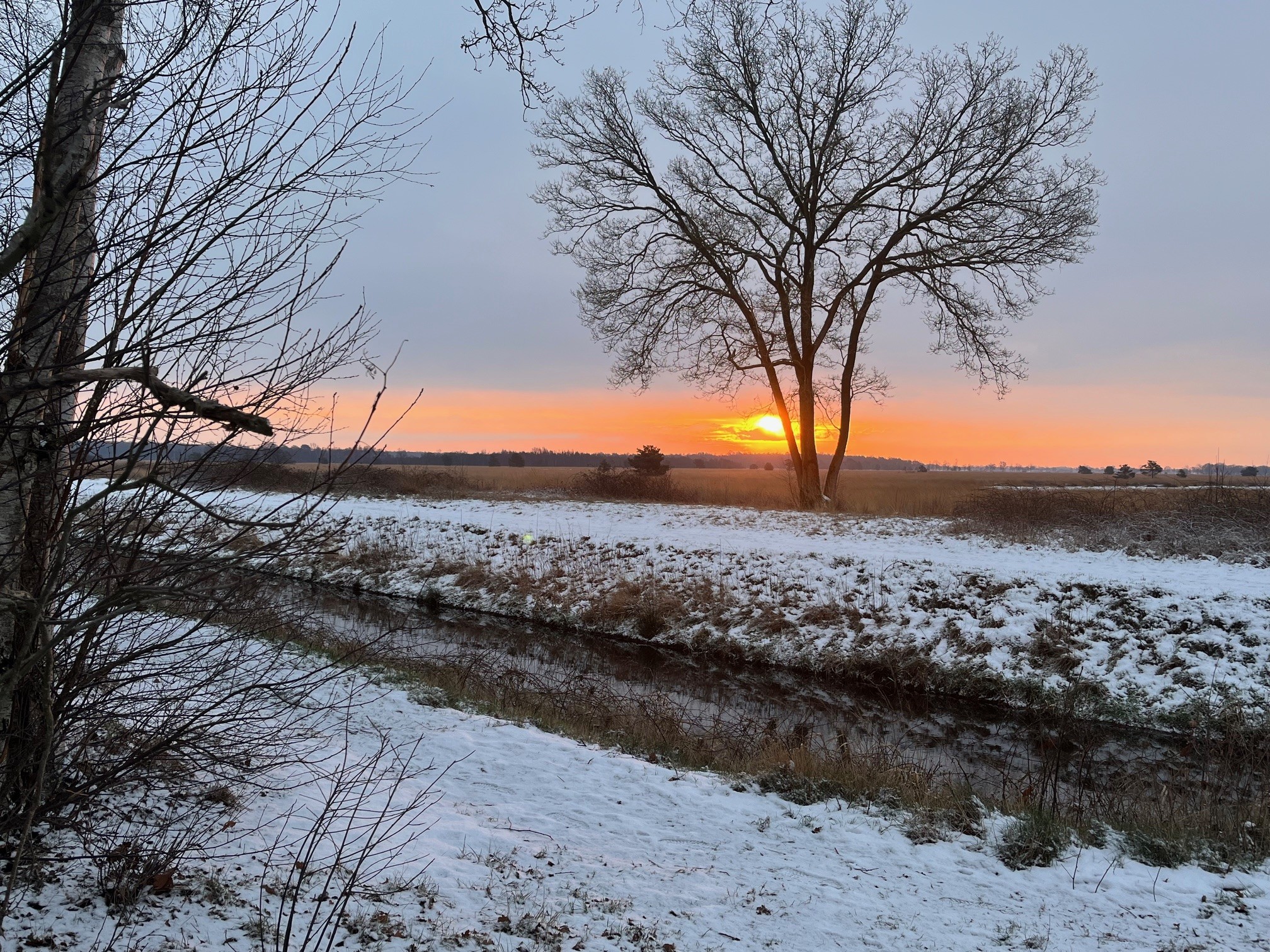 zonsopkomt in winterlandschap